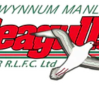 Wynnum Manly Junior Rugby League