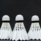 Lighthall Badminton Club