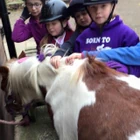 Northbrook Equestrian Centre