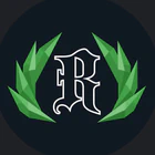 Renegade BJJ