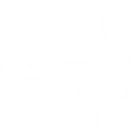 Healing Horses Singapore