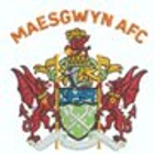 Maesgwyn FAC