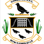 Gowerton Rugby Football Club