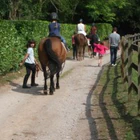 Adsborough House Stables