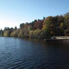 Lockwood Beck Coarse Fishery