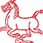 White Horse Tai Chi & Qigong