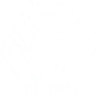 222 JIU JITSU