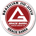 Gracie Barra Keynsham