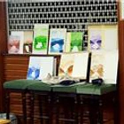 Crediton Bowling Club