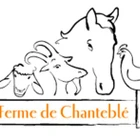 FERME DE CHANTEBLE
