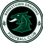 Bankstown Dragons FC