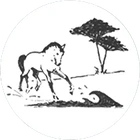 CENTRE EQUESTRE LE MARINA