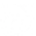 LivDance