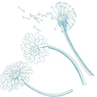 Sophrologue / Constellations Family And Systemic Msp Dieuze