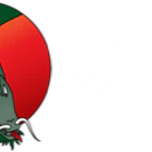 Avalon Karate Paradise