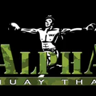 Alpha Muay Thai