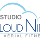 Studio Cloud Nine Ltd