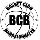 Comite des Alpes du Sud Basket Ball