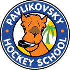Pavlikovsky Hockey School