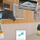 Equine Society Veterinary School of Alfort