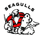 Bowen Seagulls Junior Rugby League Inc.