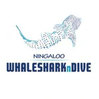 Ningaloo WhaleSharknDive