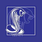 Sandown Cobras Football Netball Club