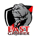East Gambier Netball Club