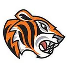 Cove Tigers Netball Club