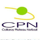 Collaroy Plateau Netball Club