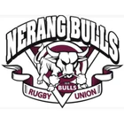 Nerang Bulls Rugby Union Club