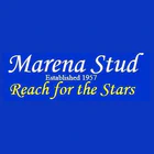 Marena Stud & Riding Academy