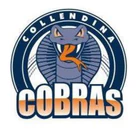 Collendina Cricket Club