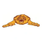 Narre South Lions Football & Netball Club