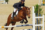 Concours de Saut d'Obstacles (CSO) à La Renarderie