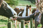 Home on the Range Horse Trekking