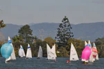 Sailing Race Event