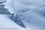 Voyage de Ski Hors Piste à Hokkaido, Japon 2025