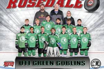 Rosedale Minor Hockey 2024/2025 Season