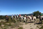 Compétition de TREC à Les Enganes, Fontvieille