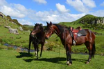 Horse Riding at Stone Hill