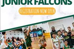 2024 VJBL Season Registration