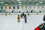 Winter Skating Party