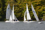 Régate Amateur de Voile d'Octobre