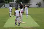 Grafton Juniors Cricket Season for Years 1 to 4