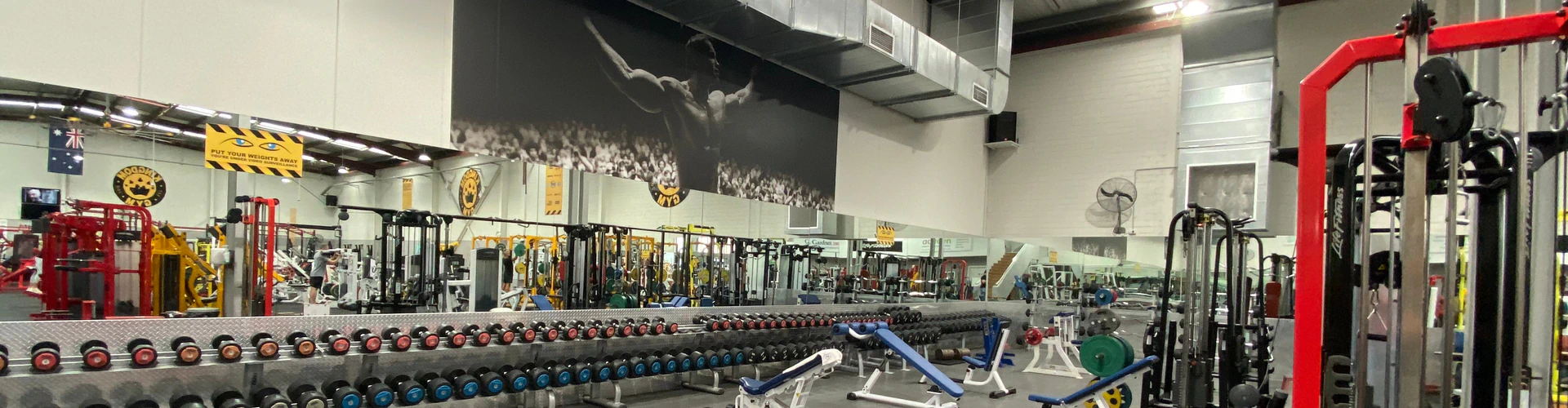 Kingdom Gym