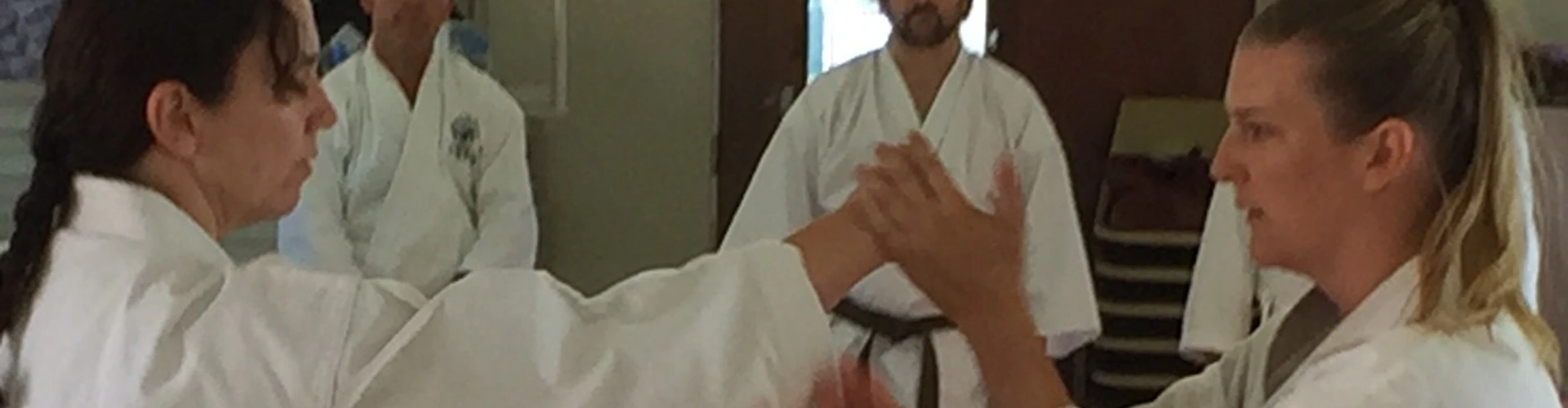 Yamaguchi Goju kai Karate QLD - Wooloowin