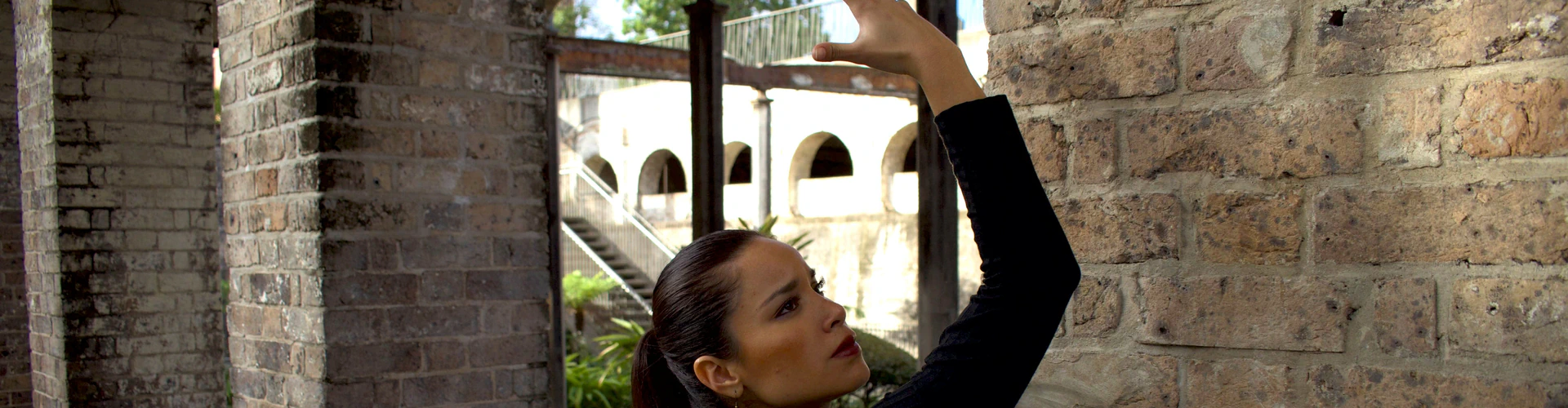 Flamenco Fusion - MESTIZA