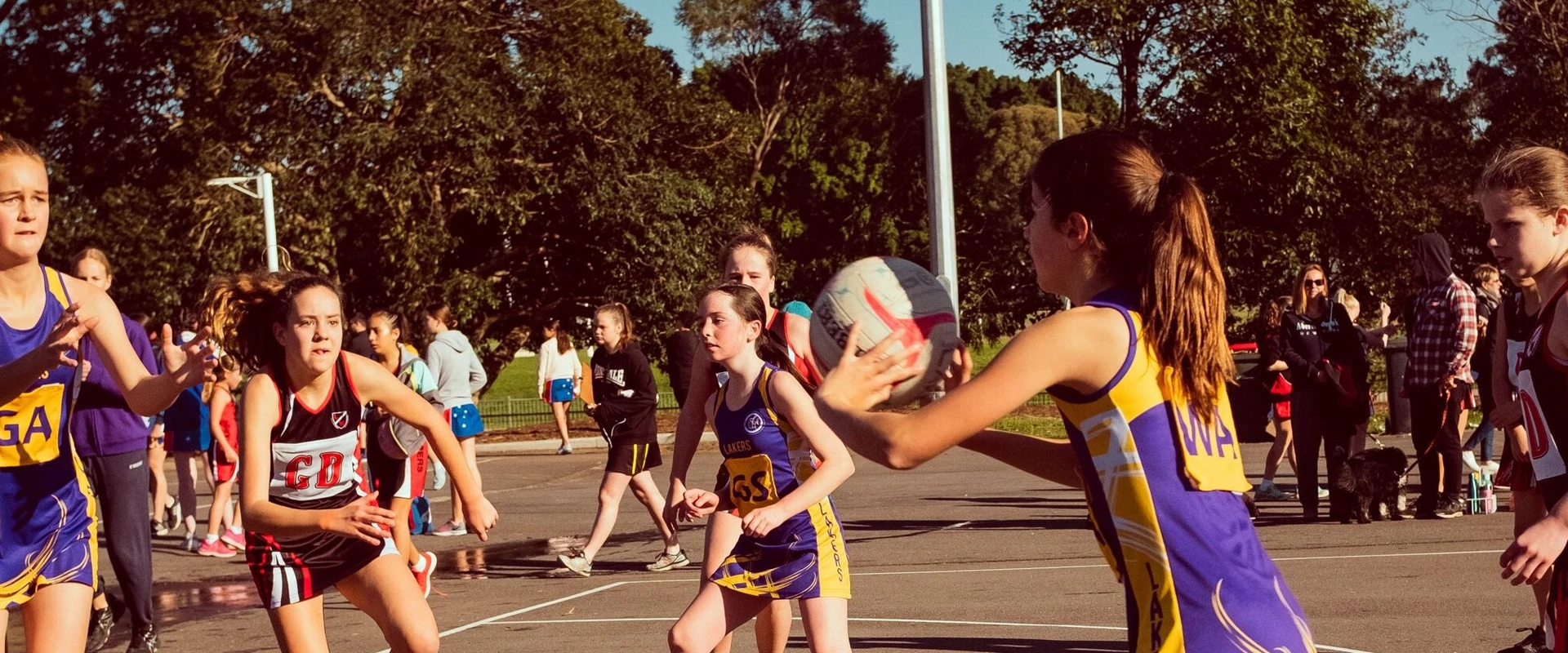 Summer Hill Lakers Netball Club