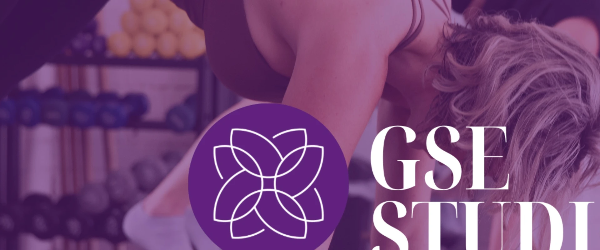 GSE Studio